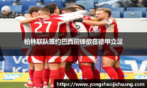 纳米体育官网
