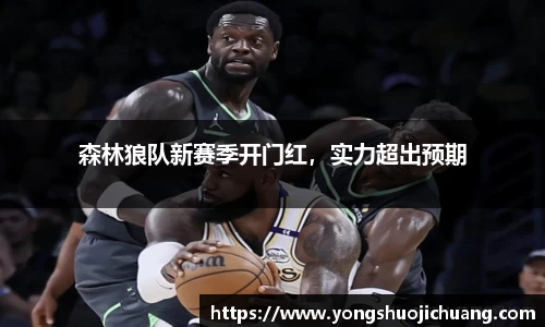 纳米体育官网