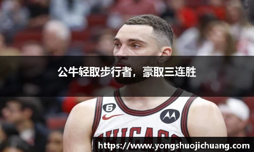 纳米体育官网