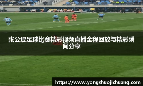 纳米体育官网